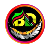 BD NET VPN APK Download for android