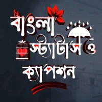 Bangla Status: বাংলা স্ট্যাটাস APK Download for android